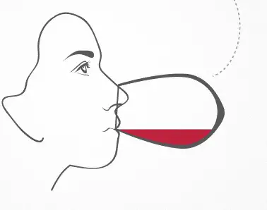 Etape03: Goûter le vin