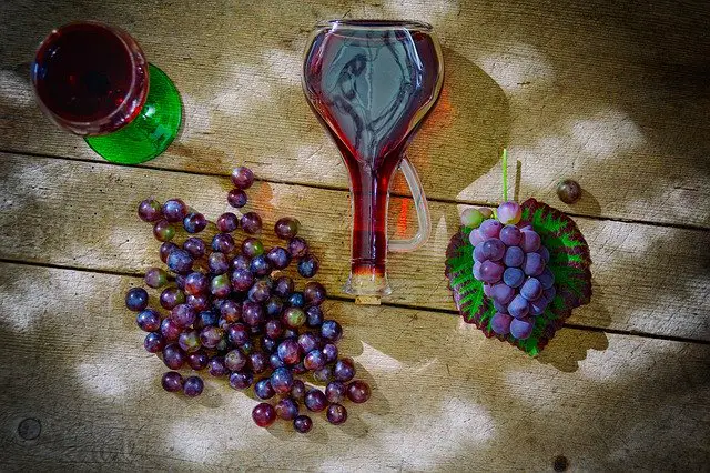 13 Raisons Intelligentes de Boire du Vin Chaque Soir